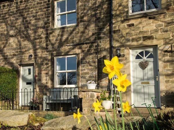 Beacon Cottage إلكلي المظهر الخارجي الصورة